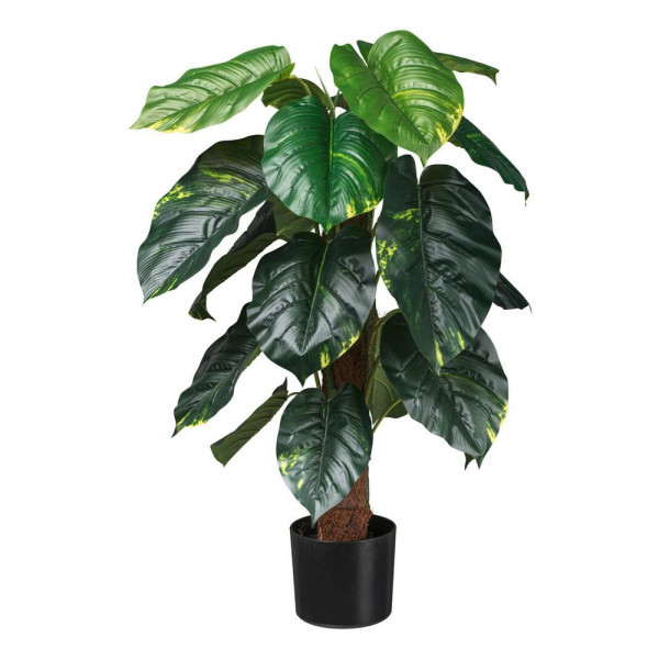 UMĚLÁ ROSTLINA PHILODENDRON SCANDES I