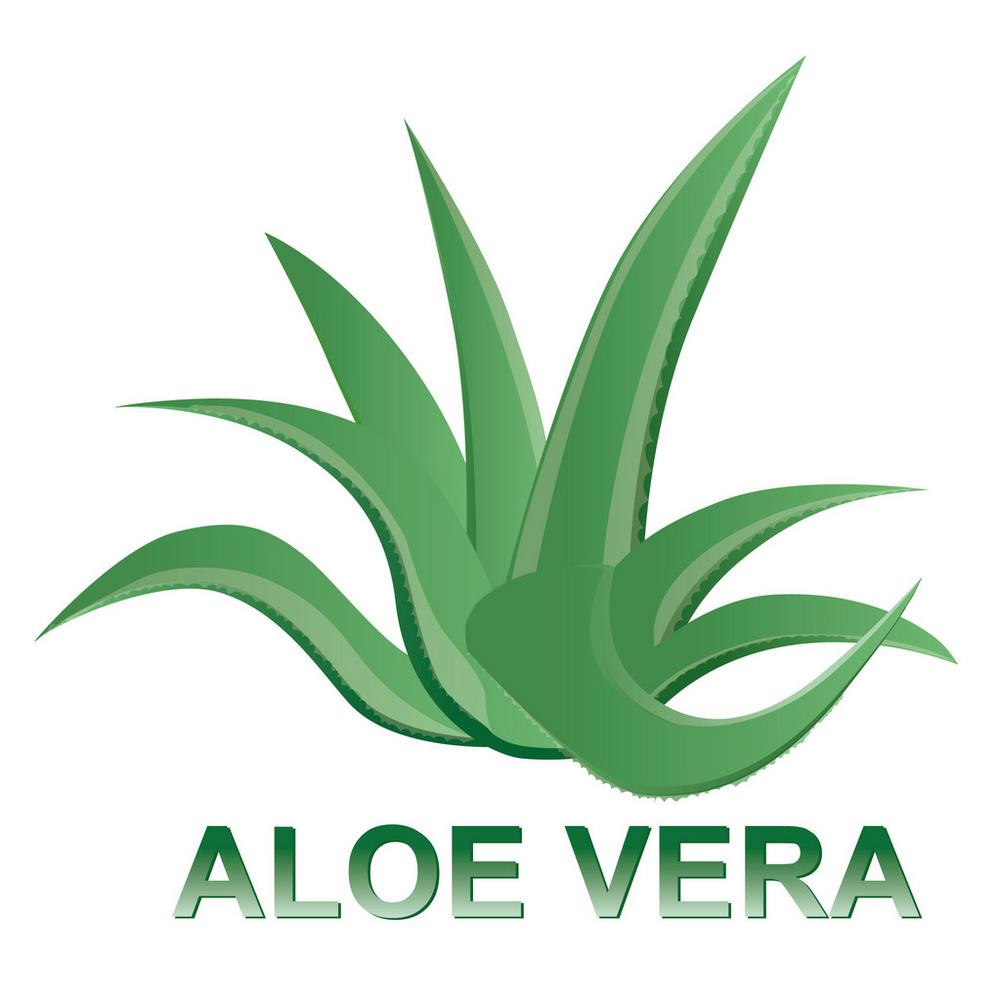 VÁLCOVÝ ANATOMICKÝ POLŠTÁŘ Orbit Aloe Vera, 40/15cm, bílá